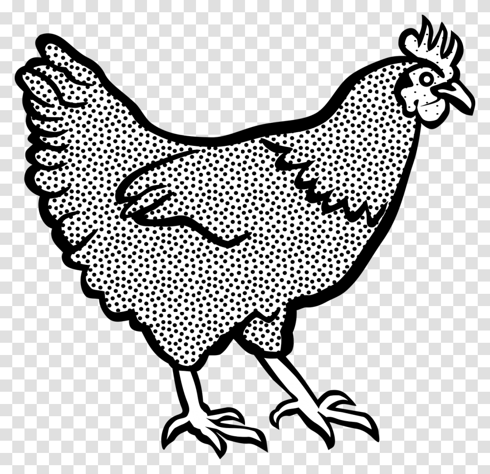 Chicken Clipart, Animal, Fowl, Bird, Poultry Transparent Png