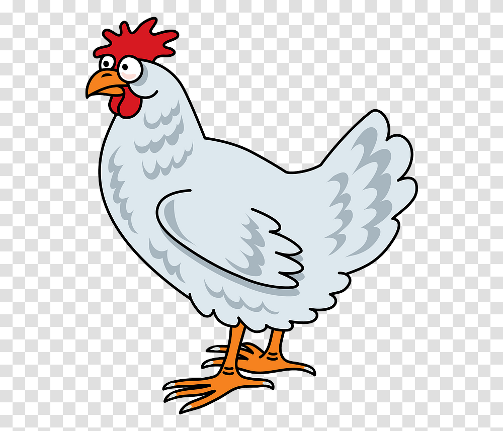 Chicken Clipart Chicken Clipart .png, Bird, Animal, Fowl, Poultry Transparent Png