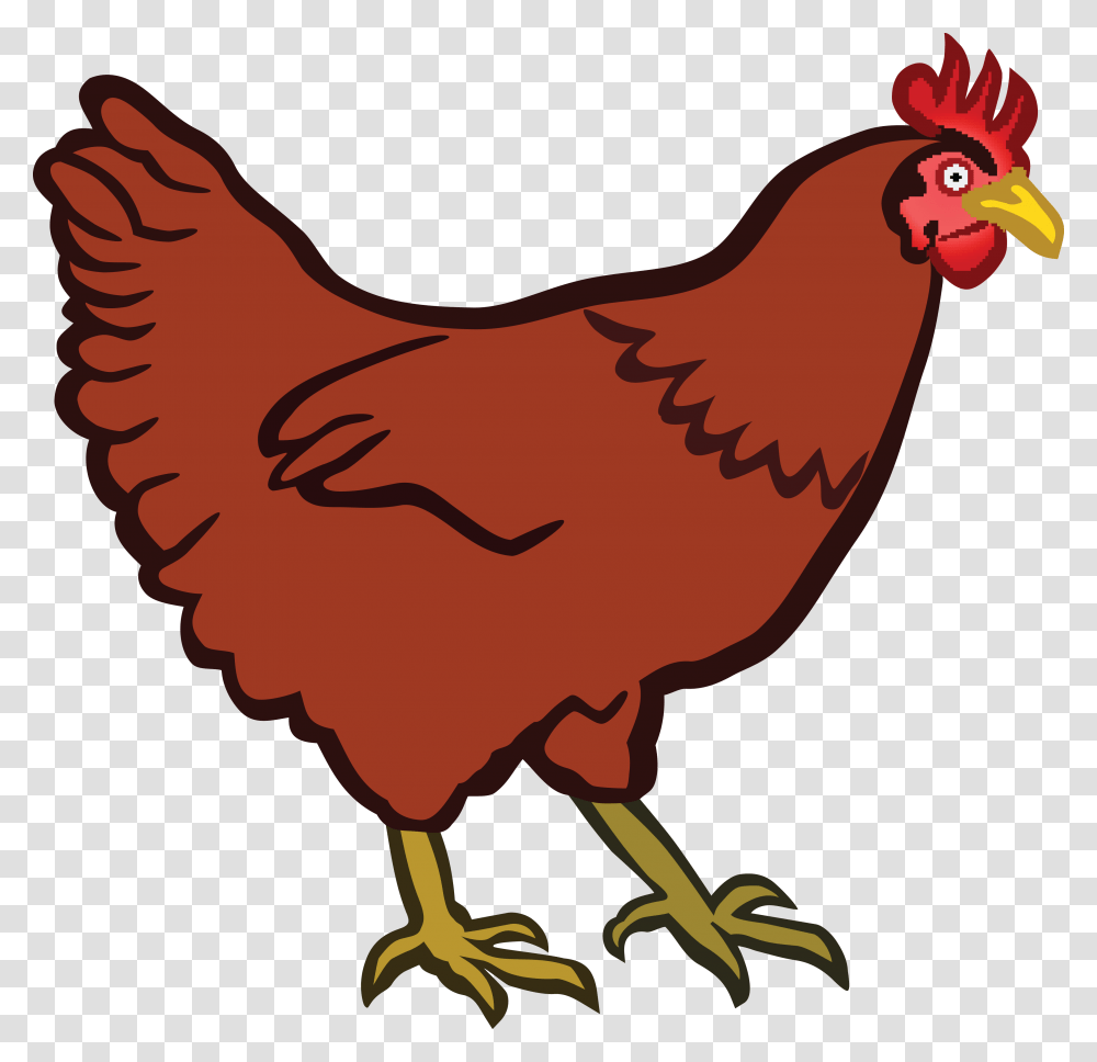 Chicken Clipart Clip Arts For Free On Chicken Clipart, Poultry, Fowl, Bird, Animal Transparent Png