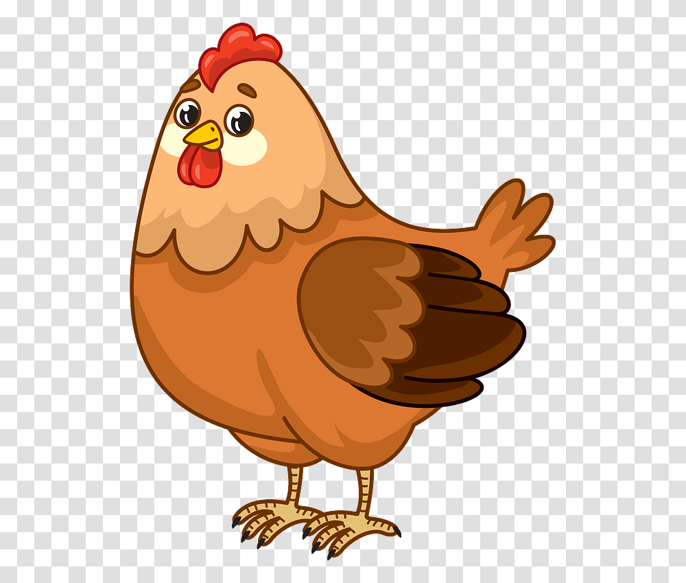 Chicken Clipart, Hen, Poultry, Fowl, Bird Transparent Png