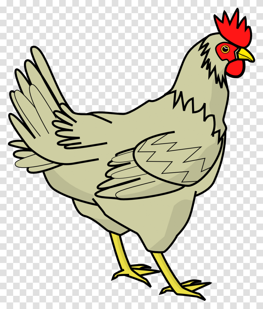 Chicken Clipart, Poultry, Fowl, Bird, Animal Transparent Png