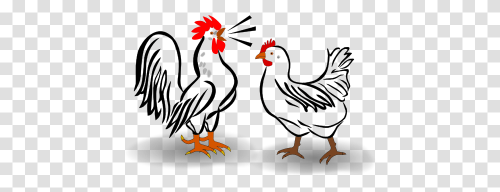 Chicken Clipart, Poultry, Fowl, Bird, Animal Transparent Png