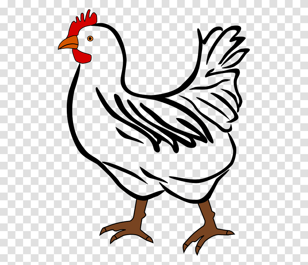 Chicken Clipart Rooster And Hen Cartoon, Poultry, Fowl, Bird, Animal Transparent Png