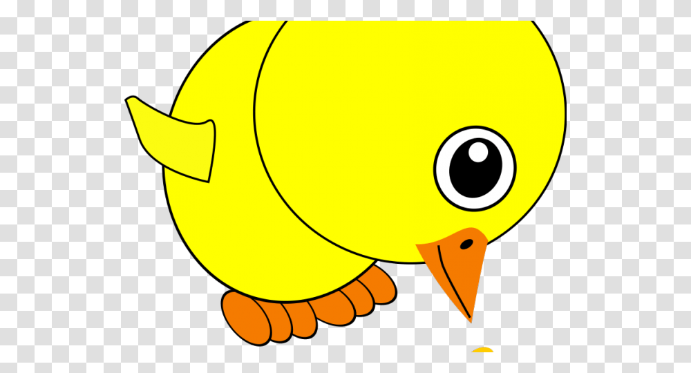 Chicken Clipart Seed, Animal, Fish, Amphiprion, Sea Life Transparent Png