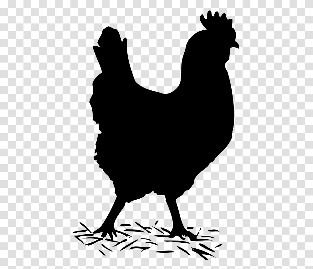 Chicken Clipart Shadow, Gray, World Of Warcraft Transparent Png