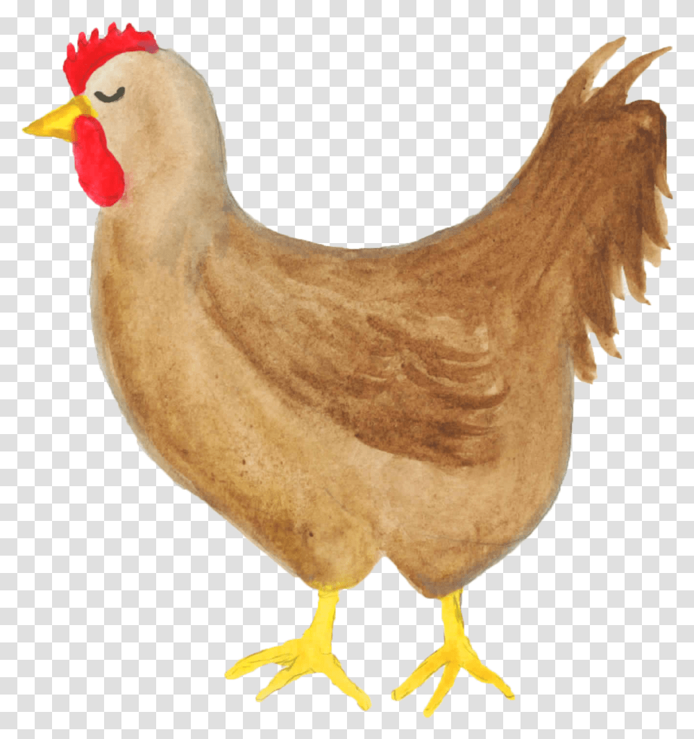 Chicken Clipart Watercolor Clipart Farm Hen Chicken Cute Chicken Watercolor, Poultry, Fowl, Bird Transparent Png