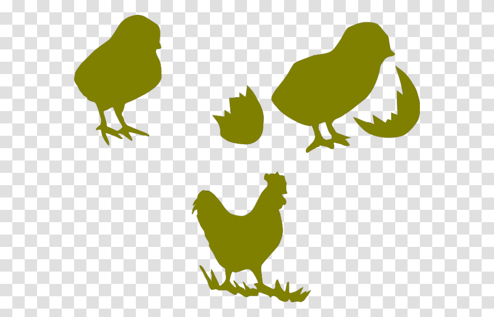 Chicken Cock Poultry Hen Images Poultry Farm Chicks Logo, Bird, Animal, Canary, Eagle Transparent Png