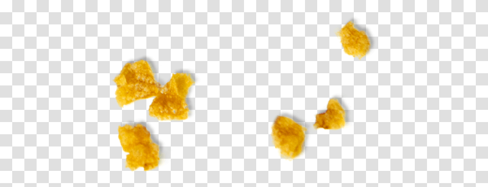 Chicken Crunchers Maidenhair Tree, Animal, Sea Life, Mammal, Plant Transparent Png