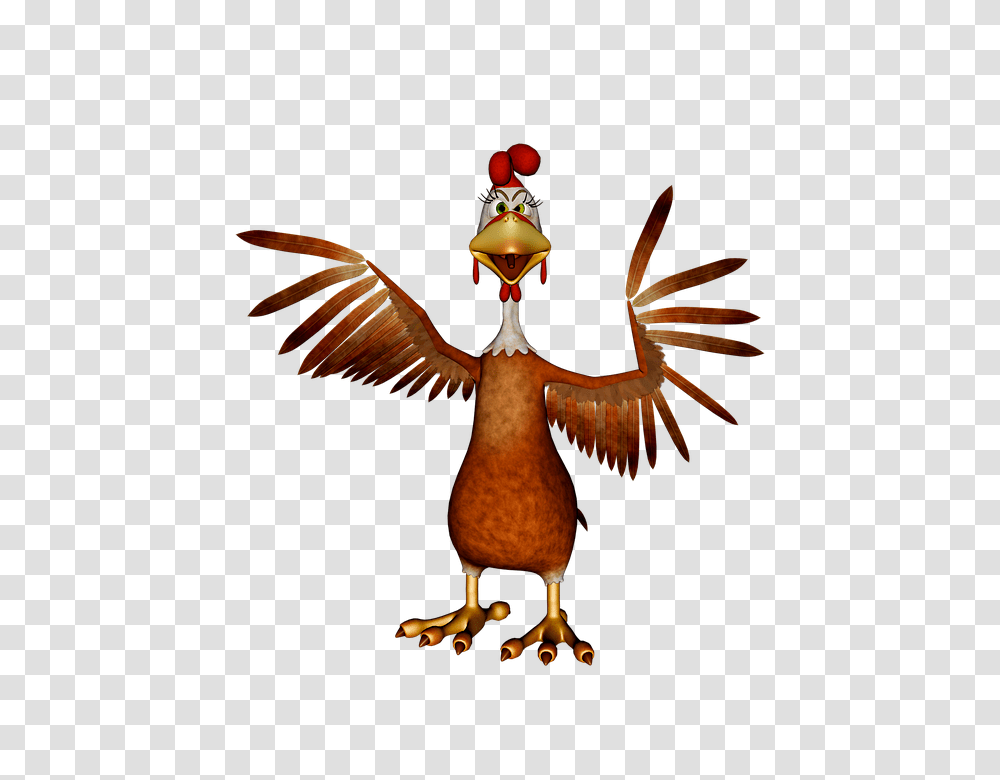 Chicken Diapers Oh They Exist Wjjk Fm, Bird, Animal, Eagle Transparent Png