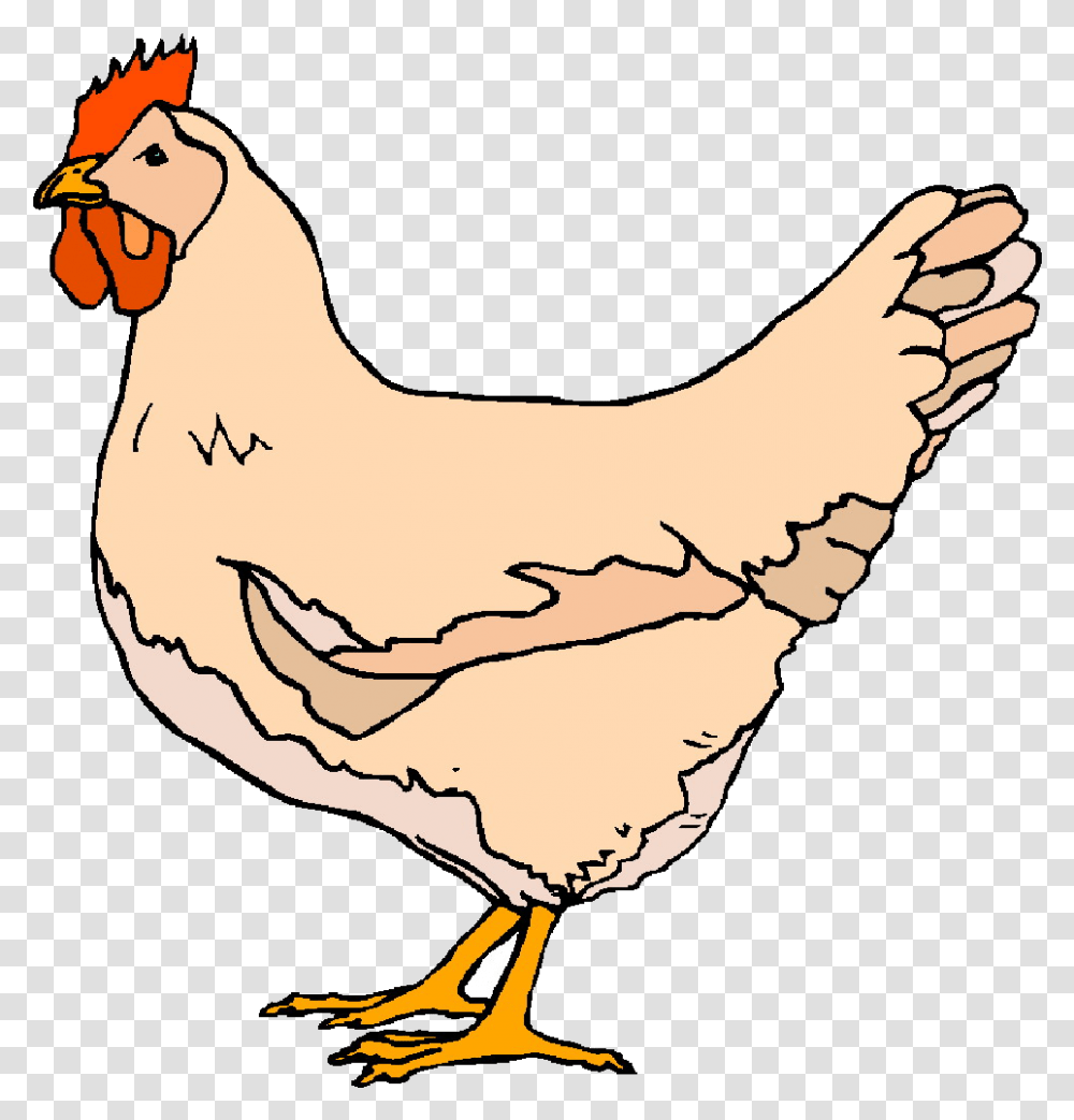 Chicken Dinner Clipart Library Free Images Clipart Chicken, Animal, Hen, Poultry, Fowl Transparent Png