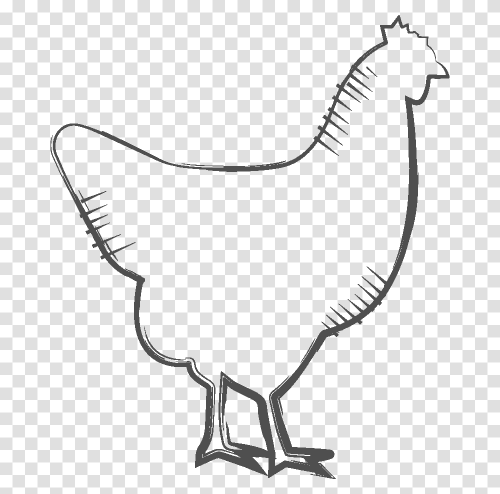 Chicken Drawing, Bow, Animal, Bird, Fowl Transparent Png