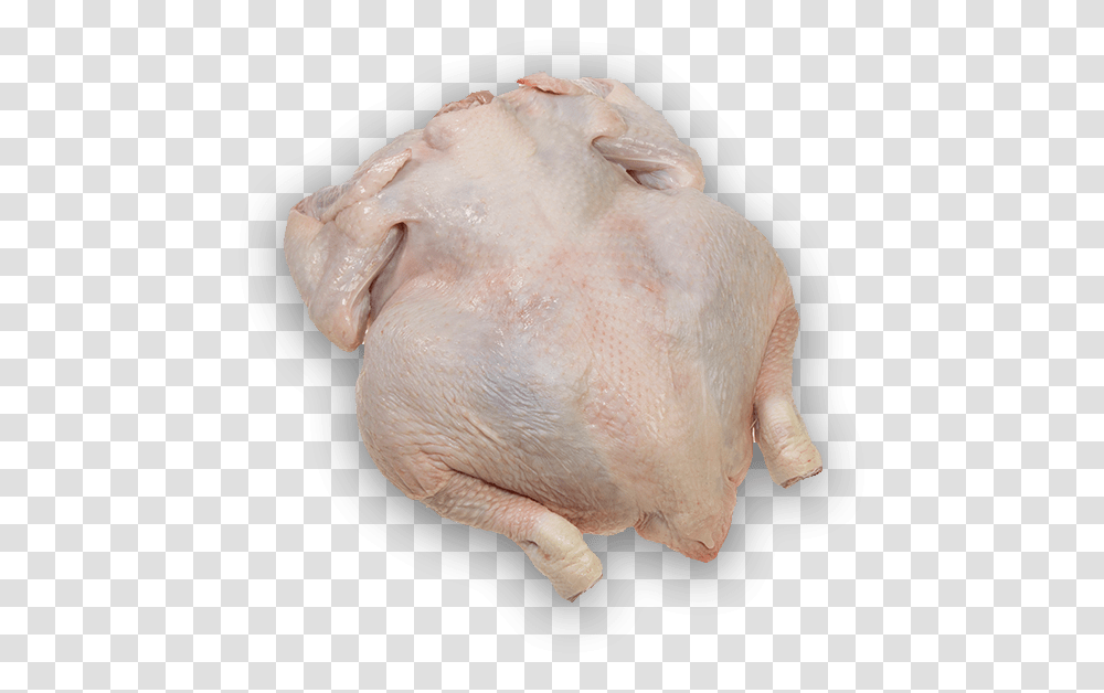 Chicken Drumstick Turkey Meat, Animal, Bird, Fowl, Pig Transparent Png