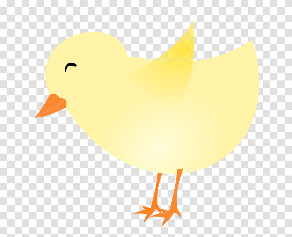 Chicken Easter Computer Icons Kifaranga Download, Bird, Animal, Lamp, Duck Transparent Png