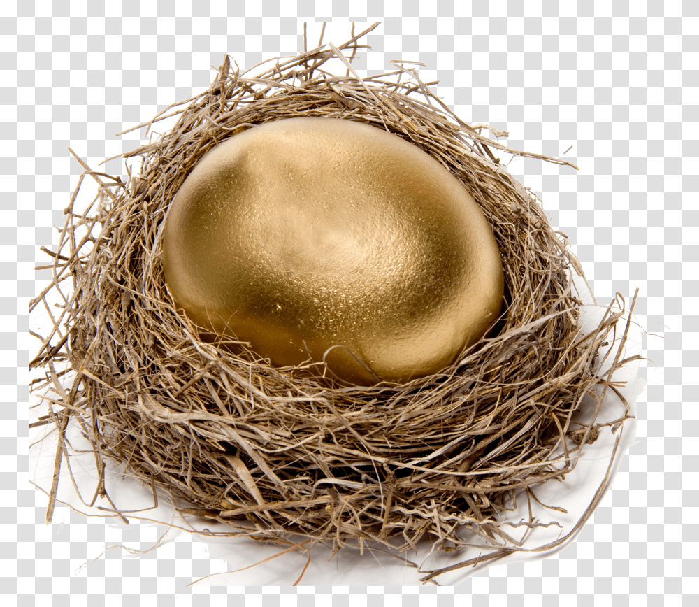 Chicken Easter Egg Nest Stock Photography Bird Nest Egg Transparent Png