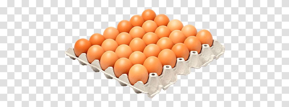 Chicken Egg 1 Tray, Food, Easter Egg Transparent Png