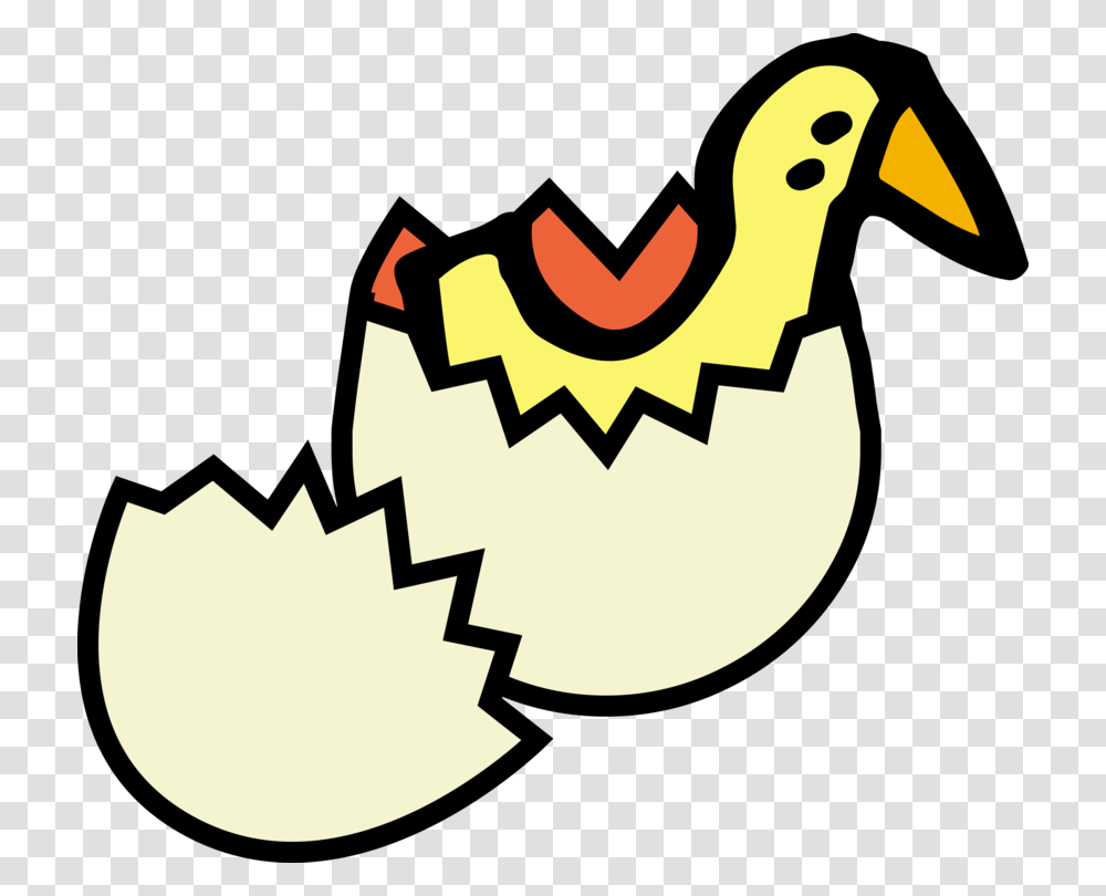 Chicken Egg Fried Egg Eggshell, Animal, Bird, Fowl, Poultry Transparent Png