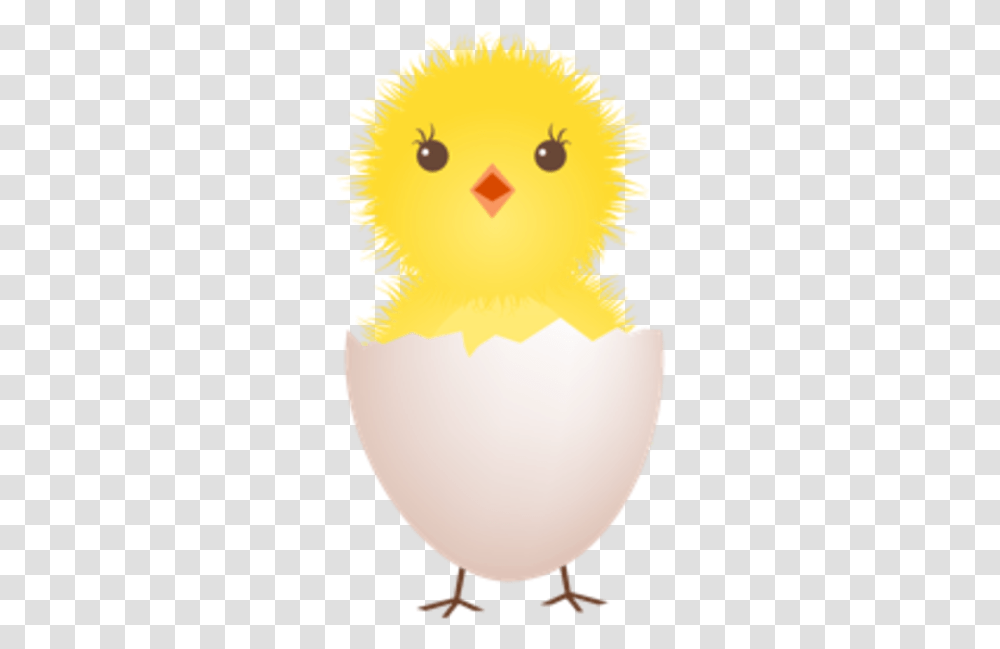 Chicken Egg Shell Icon Clip Art Baby Bird Egg, Food, Animal, Poultry, Fowl Transparent Png