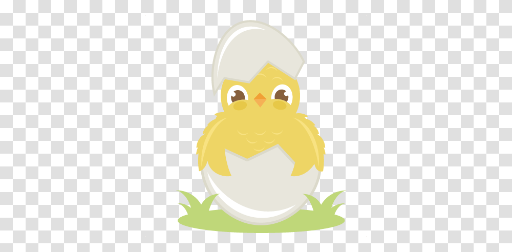 Chicken Eggs Hatching Images, Poultry, Fowl, Bird, Animal Transparent Png