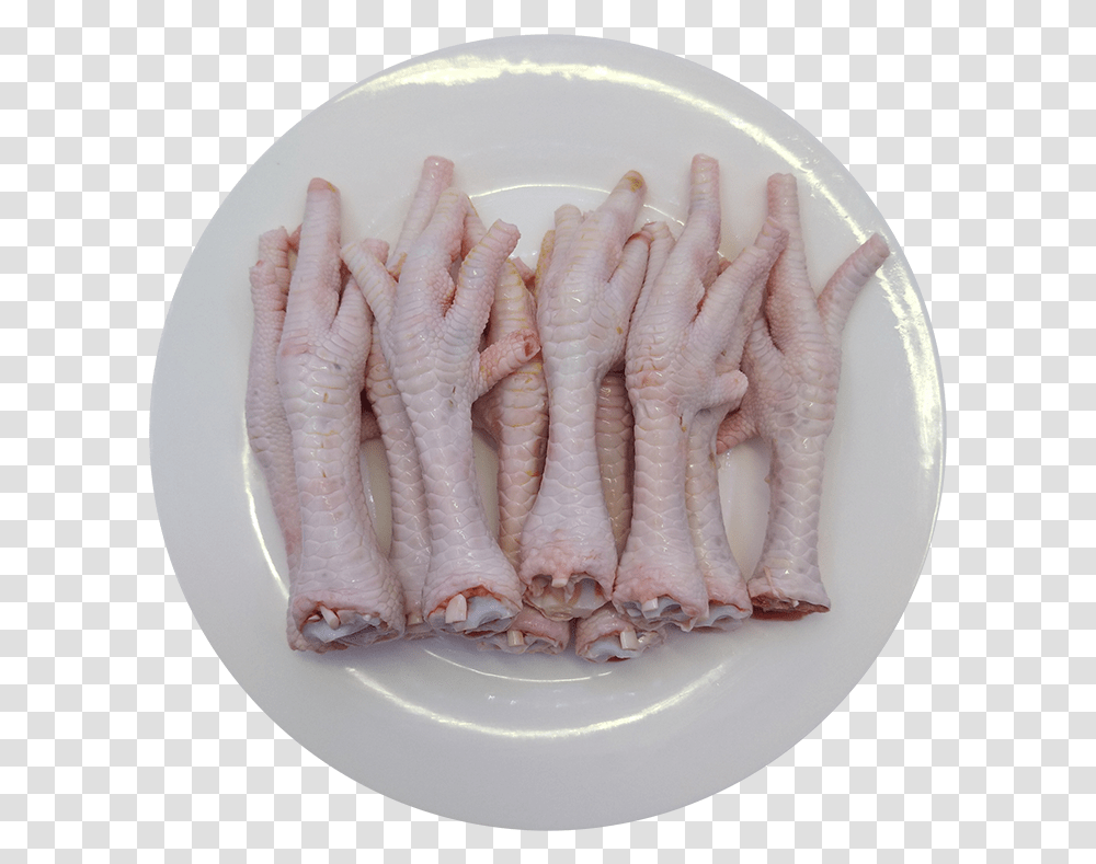 Chicken Feet, Animal, Hot Dog, Food, Porcelain Transparent Png