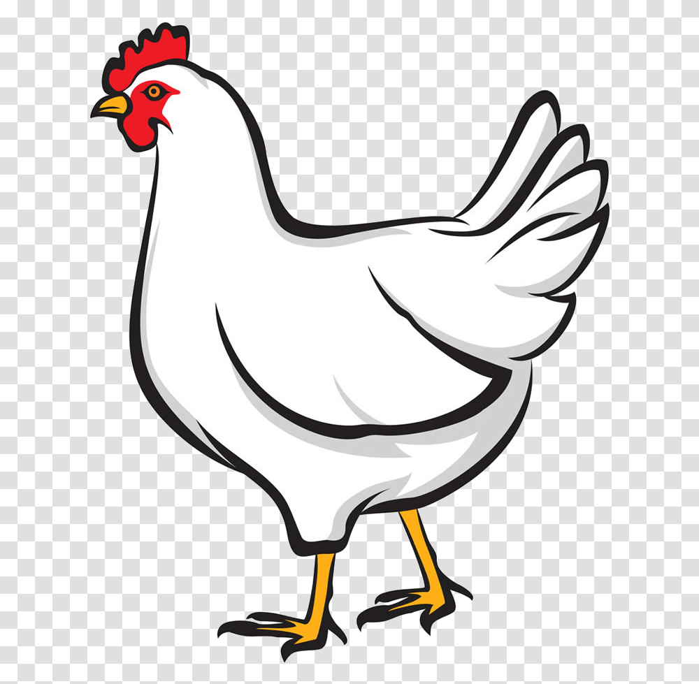 Chicken Free Images Clip Art On Dont Be A Chicken, Hen, Poultry, Fowl, Bird Transparent Png