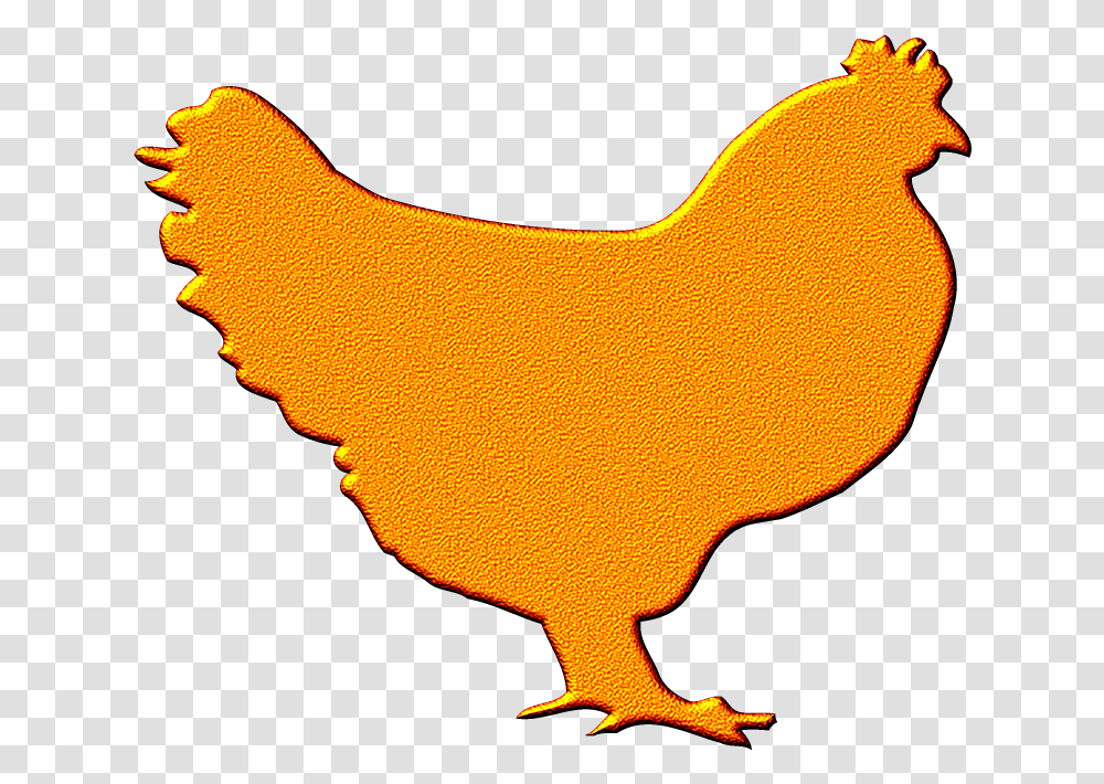 Chicken Graphic, Fowl, Bird, Animal, Poultry Transparent Png