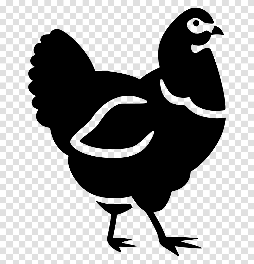 Chicken Hen Animal Icon Free Download, Stencil, Bird Transparent Png