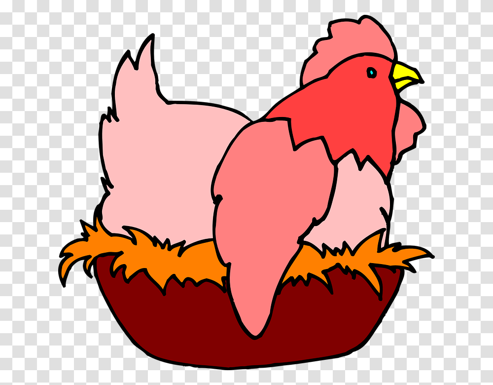 Chicken Hen Eggs Laying Lay Poultry Farm Animal, Bird, Cardinal, Fowl, Beak Transparent Png