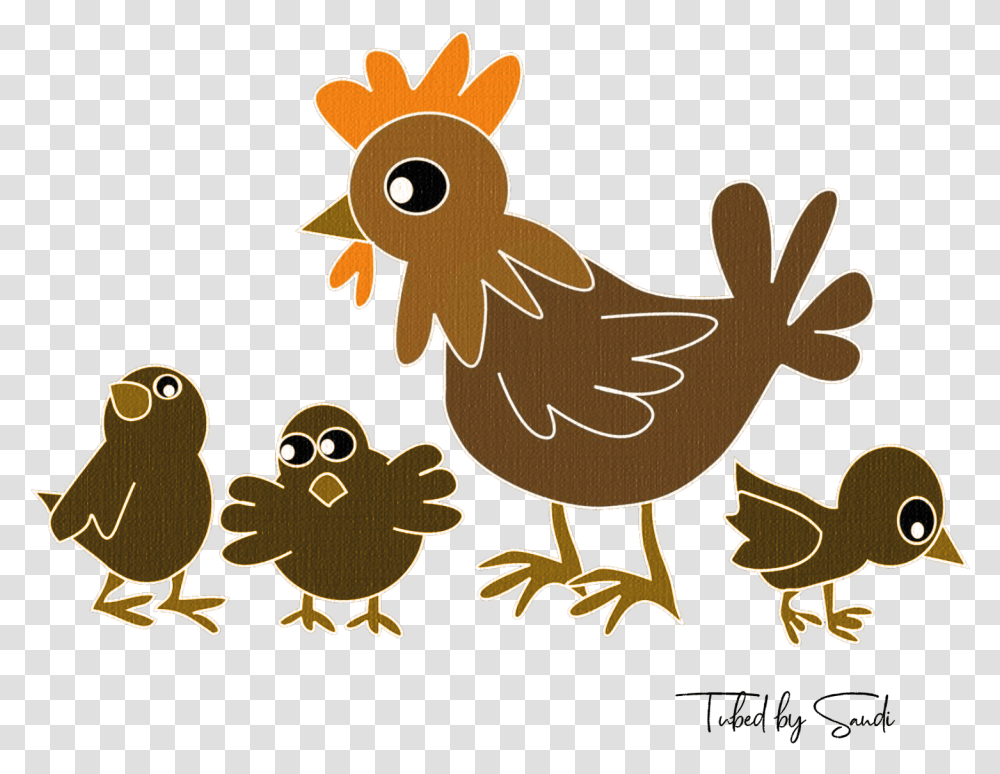 Chicken, Hen, Poultry, Fowl, Bird Transparent Png