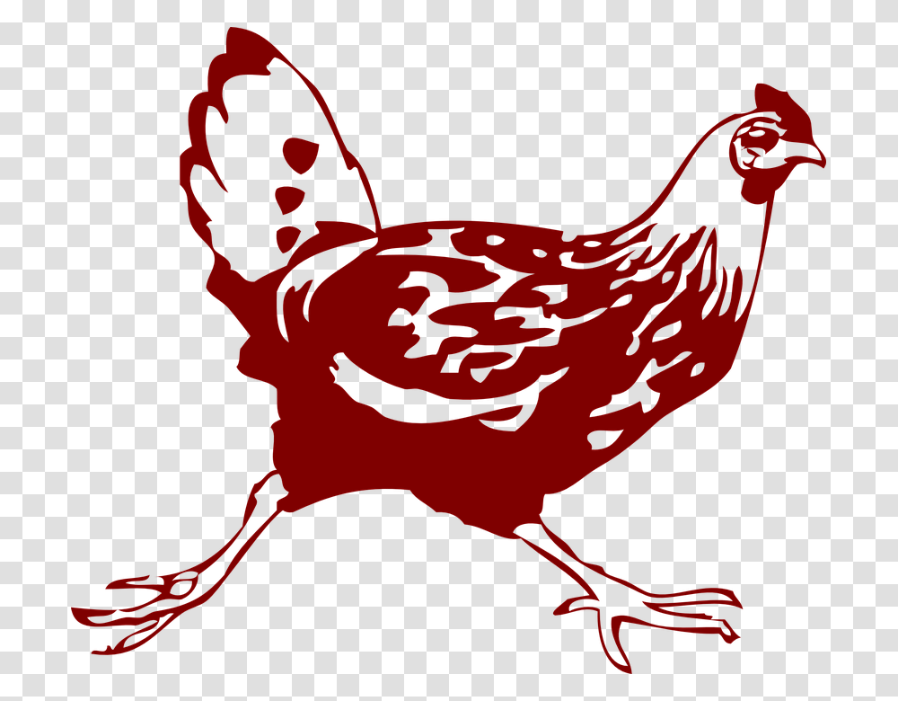 Chicken Hen Running Brown Legs Tail Difference Between Erotic And Kinky, Poultry, Fowl, Bird, Animal Transparent Png