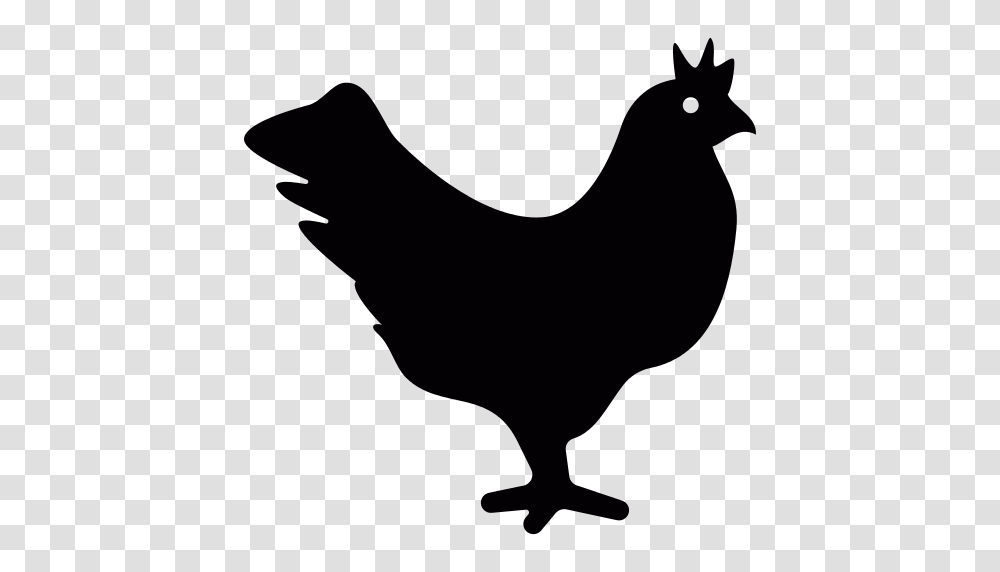 Chicken Icon, Animal, Bird, Fowl, Poultry Transparent Png