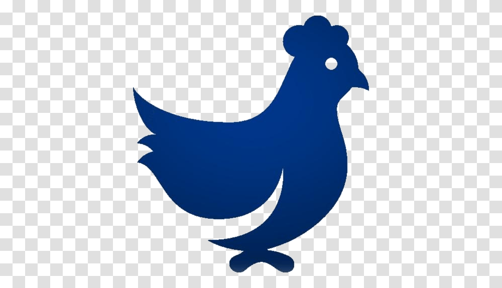 Chicken Icon Hd Images Stickers Marans, Animal, Bird, Mammal, Fowl Transparent Png