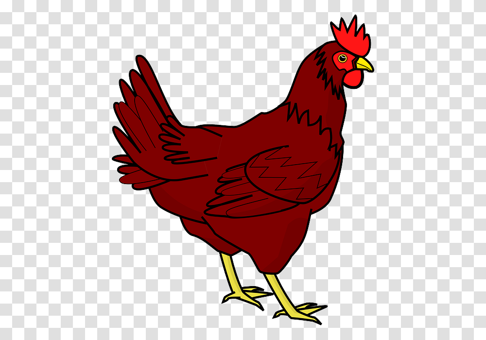 Chicken Image Red Hen Clip Art, Poultry, Fowl, Bird, Animal Transparent Png
