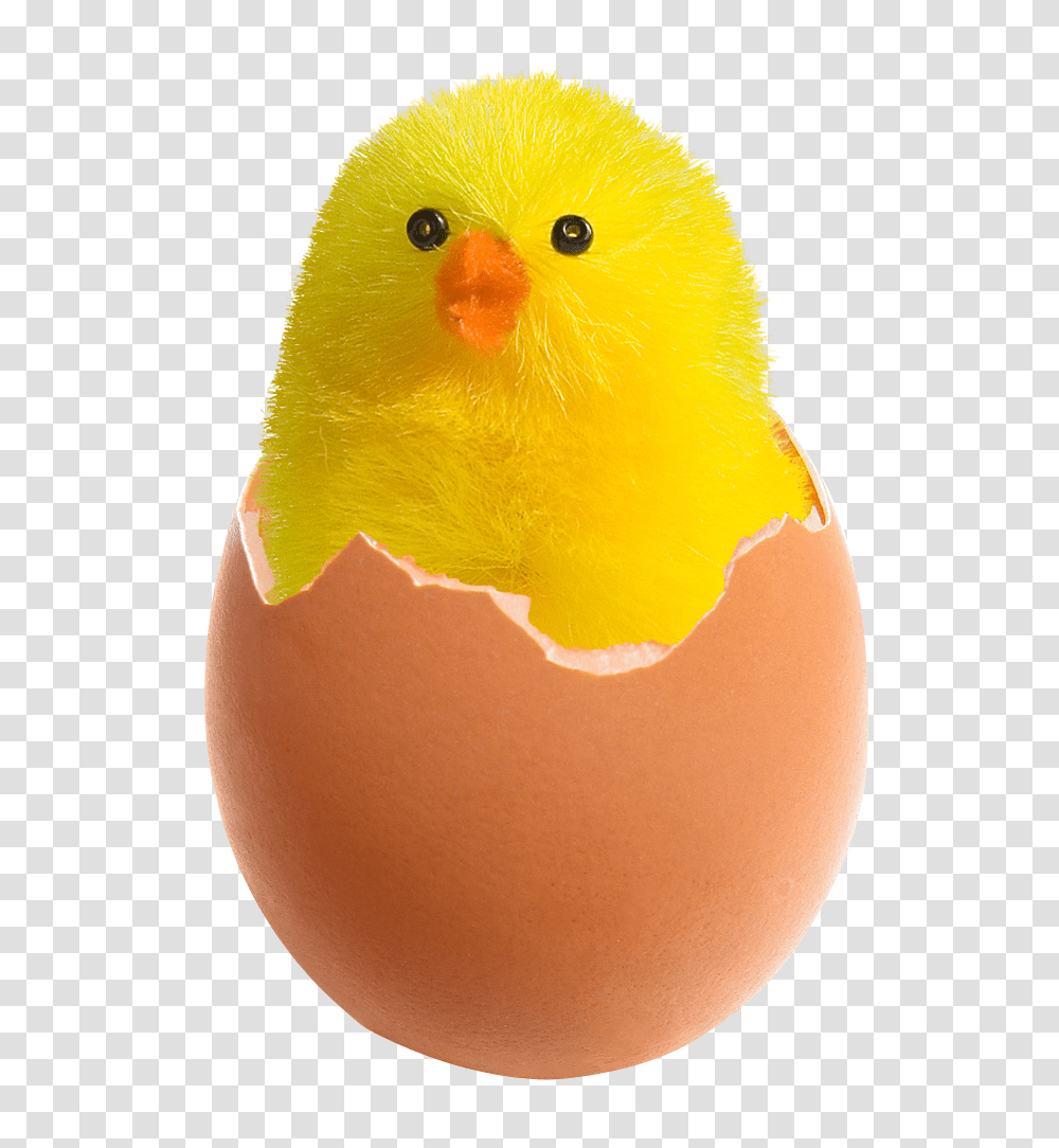 Chicken In Broken Egg Image, Food, Animal Transparent Png