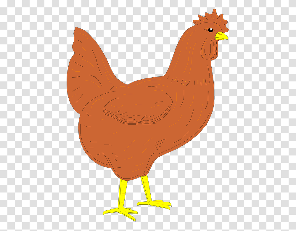 Chicken Leg Clipart 3 Buy Clip Art Brown Rooster Clipart, Hen, Poultry, Fowl, Bird Transparent Png