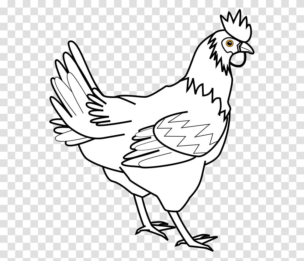 Chicken Line Art Davidone Chicken, Animals, Hen, Poultry, Fowl Transparent Png