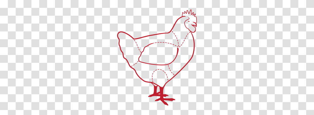 Chicken, Mammal, Animal, Plot, Lingerie Transparent Png