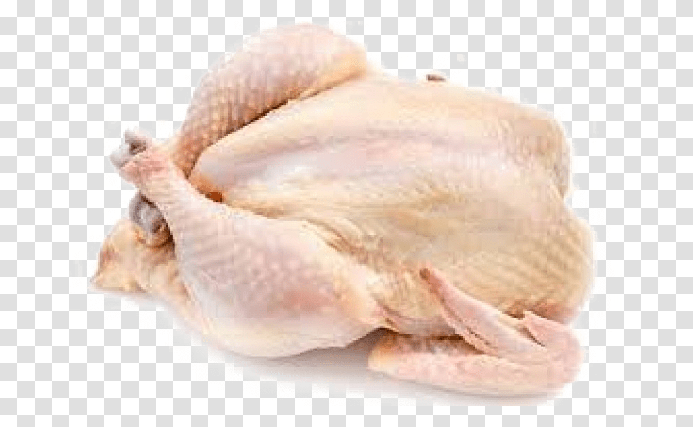 Chicken Meat Background Image Raw Chicken With Skin, Bird, Animal, Fowl, Poultry Transparent Png