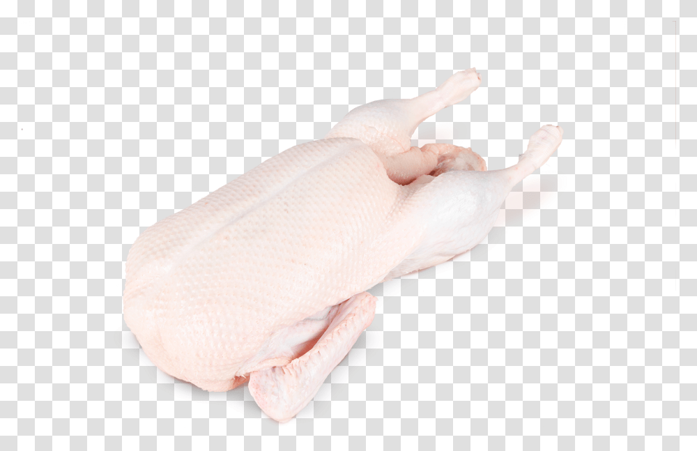 Chicken Meat, Fish, Animal, Hand, Person Transparent Png