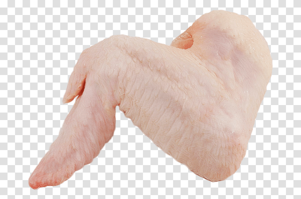Chicken Meat, Hand, Animal, Heel, Fish Transparent Png