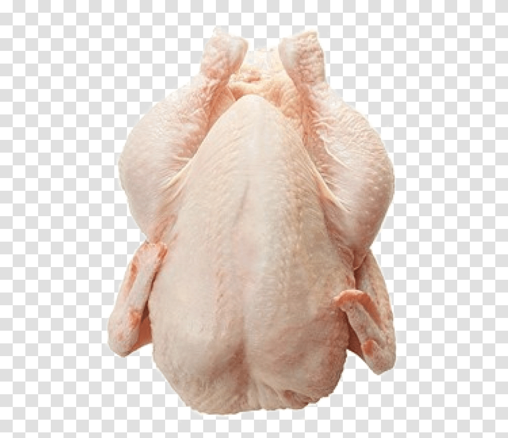 Chicken Meat Image Frozen Chicken, Animal, Bird, Poultry, Fowl Transparent Png