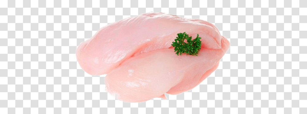 Chicken Meat Images Fresh Chicken Breast Fillet, Food, Fungus, Animal, Bird Transparent Png