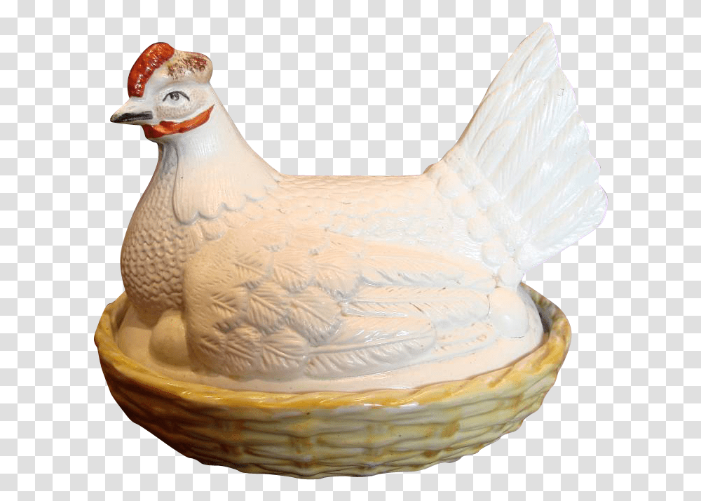 Chicken, Poultry, Fowl, Bird, Animal Transparent Png