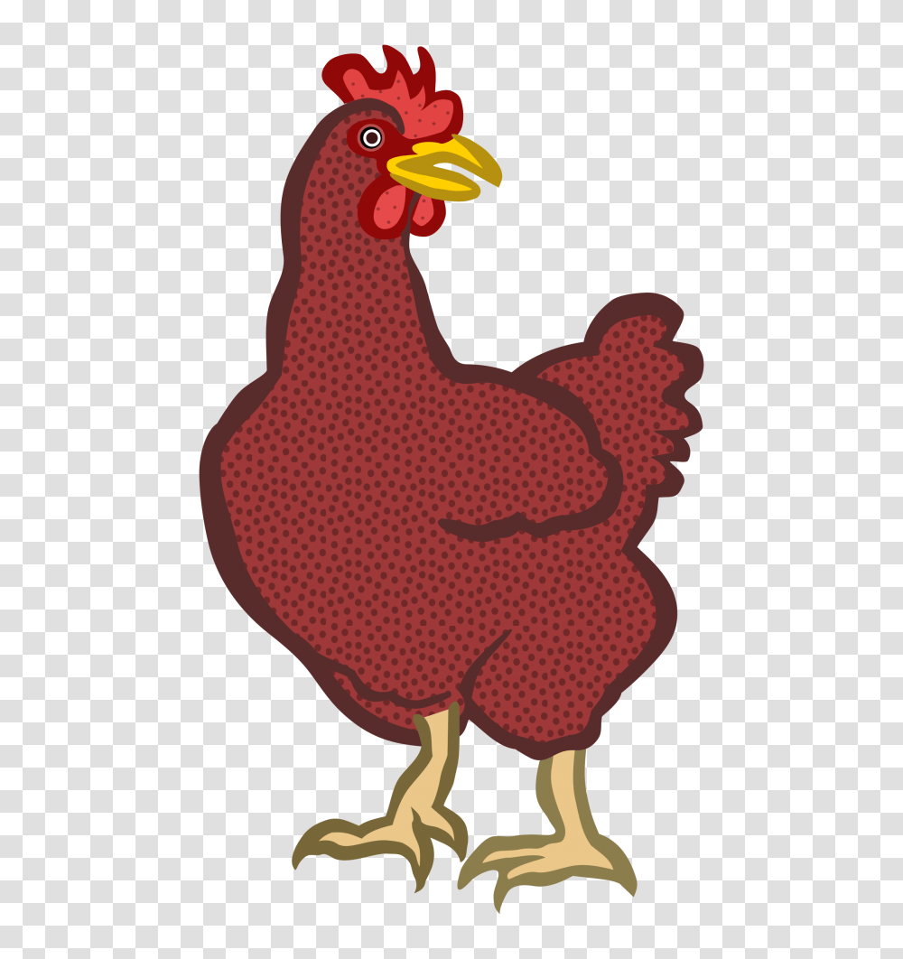 Chicken, Poultry, Fowl, Bird Transparent Png