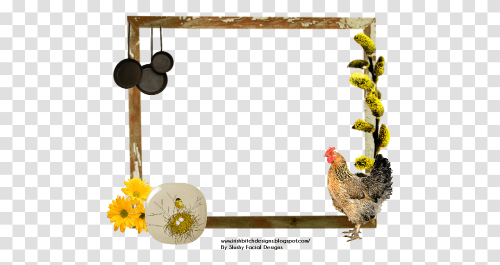 Chicken, Poultry, Fowl, Bird Transparent Png
