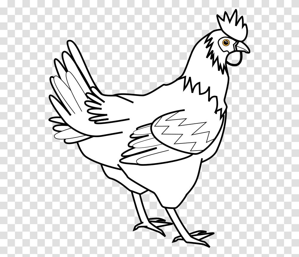 Chicken Printable, Hen, Poultry, Fowl, Bird Transparent Png