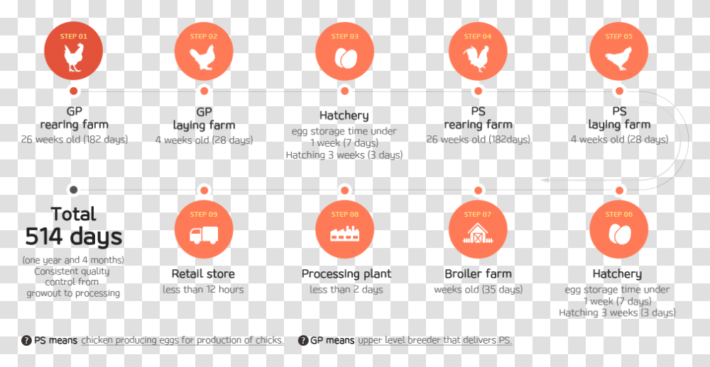 Chicken Production Process Of Vertical Integration Poultry Production Process, Number, Plot Transparent Png