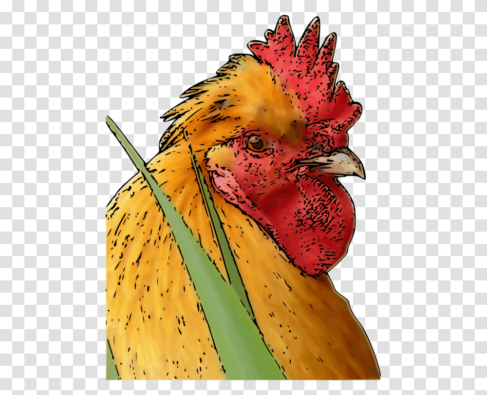 Chicken Rooster, Fowl, Bird, Animal, Poultry Transparent Png