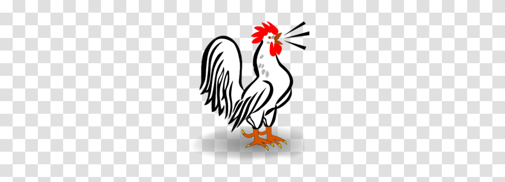 Chicken Rooster Miscl, Bird, Animal, Poultry, Fowl Transparent Png