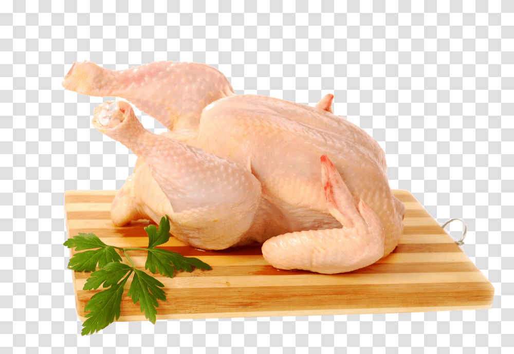 Chicken Royalty Free Play, Animal, Bird, Poultry, Fowl Transparent Png