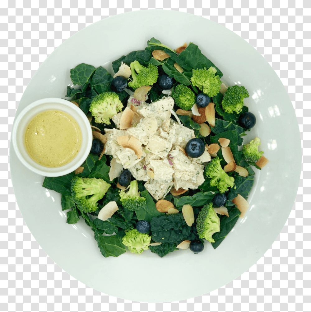 Chicken Salad Garden Salad, Plant, Dish, Meal, Food Transparent Png